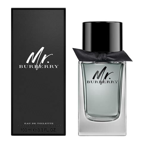 burberry mr parfum 100 ml|mr burberry cologne for men.